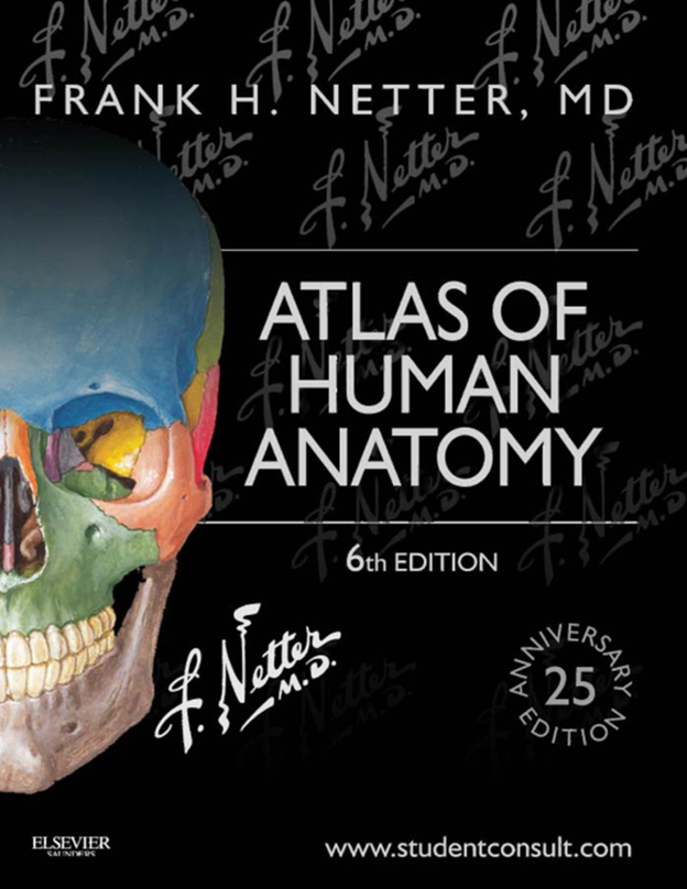 Gray's Anatomy